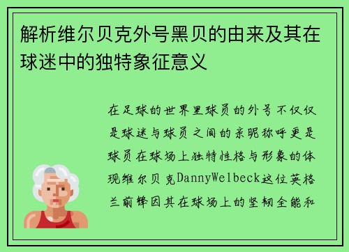 解析维尔贝克外号黑贝的由来及其在球迷中的独特象征意义